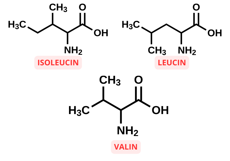 Molekylstrukturer för BCAA leucin, isoleucin och valin