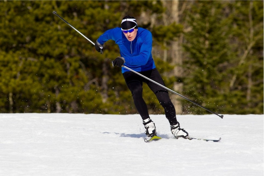 Fristil skidåkning, Skate