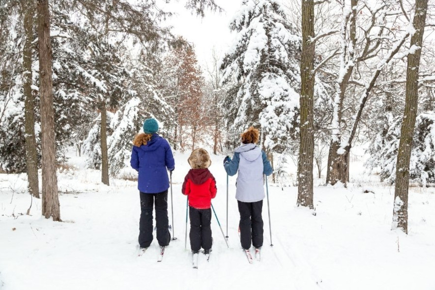 3 barn på skidutflykt i skogen