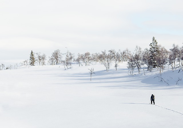 Med turskidor på turåkning i fjällvärlden